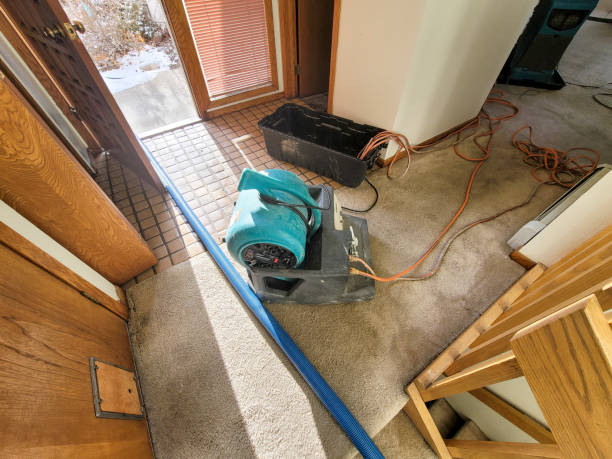 Best Fire Damage Restoration  in Nowata, OK