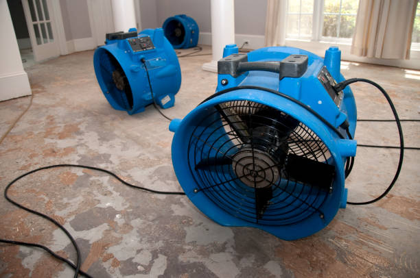 Best Water damage contractors near me  in Nowata, OK