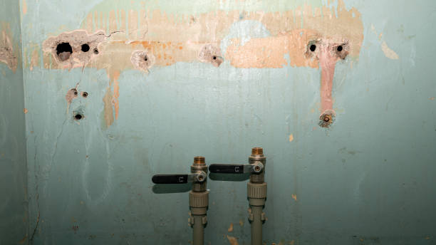 Best Fire Damage Restoration  in Nowata, OK