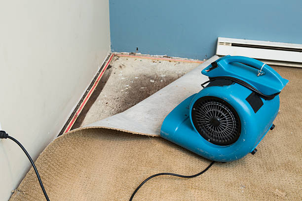 Best 24/7 water damage repair  in Nowata, OK